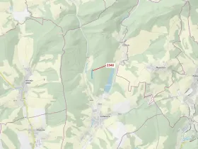 Dražba lesa, Ludkovice, 10351 m2