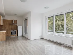 Pronájem bytu 1+kk, Praha - Vršovice, Petrohradská, 37 m2