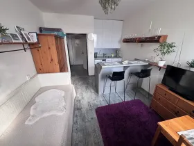 Prodej bytu 1+kk, Brno, Halasovo náměstí, 23 m2