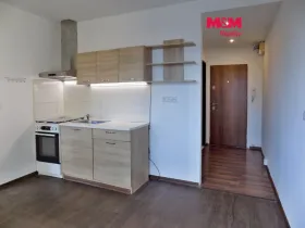 Pronájem bytu 2+1, Ústí nad Labem - Mojžíř, Picassova, 53 m2