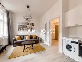 Pronájem bytu 1+kk, Praha - Karlín, Urxova, 30 m2