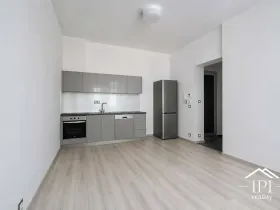 Pronájem bytu 2+kk, Praha - Holešovice, Veverkova, 55 m2