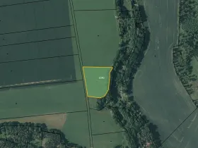 Prodej pole, Šebířov, 3421 m2