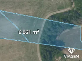 Prodej pole, Nelahozeves, 6061 m2