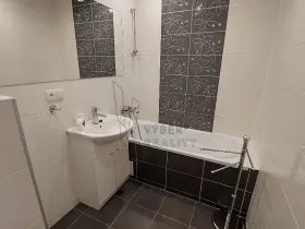 Prodej bytu 2+kk, Praha - Žižkov, Jana Želivského, 55 m2