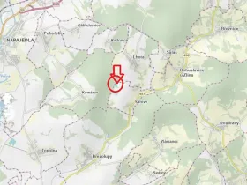 Prodej podílu lesa, Šarovy, 2437 m2