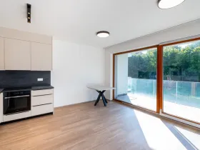 Pronájem bytu 1+kk, Praha - Radlice, Lučištníků, 33 m2