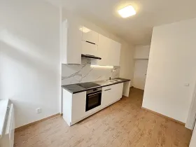 Pronájem bytu 1+1, Praha - Smíchov, Rozkošného, 35 m2
