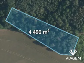 Prodej lesa, Sudovo Hlavno, 4496 m2