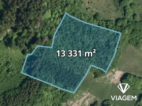 Prodej lesa, Vsetín, Rokytnice, 13331 m2