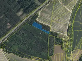 Prodej podílu lesa, Skorkov, 2180 m2