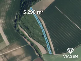 Prodej podílu pole, Klobouky u Brna, 1763 m2