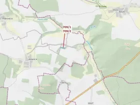 Dražba lesa, Osek, 1823 m2