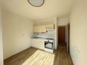 Pronájem bytu 1+1, Příbram, Čechovská, 46 m2