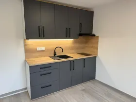 Prodej bytu 2+kk, Plzeň, Rokycanská, 38 m2