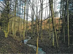 Prodej lesa, Podmoklany, 3057 m2