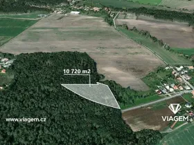 Prodej podílu lesa, Dašice, 5360 m2
