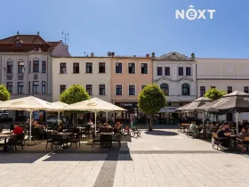 Pronájem obchodního prostoru, Karviná, Masarykovo nám., 165 m2
