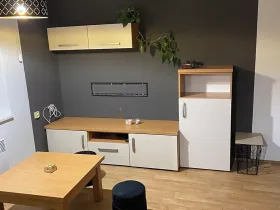 Pronájem bytu 1+1, Prostějov, 49 m2