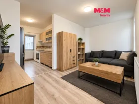 Prodej bytu 1+1, Nový Jičín, Žižkova, 30 m2