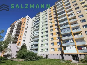 Prodej bytu 1+kk, Praha - Kamýk, Otradovická, 35 m2