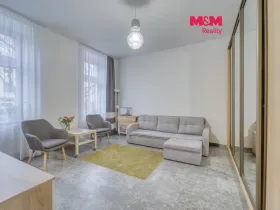 Prodej bytu 1+kk, Plzeň - Východní Předměstí, Plzenecká, 30 m2