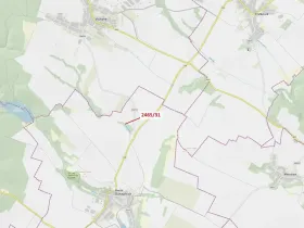 Dražba lesa, Horní Dunajovice, 263 m2
