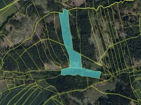 Prodej lesa, Koberovice, 19133 m2