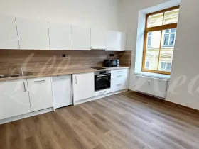Pronájem bytu 2+kk, Brno - Zábrdovice, Bratislavská, 50 m2