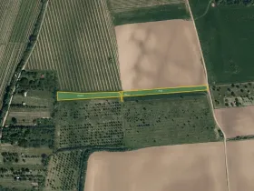 Prodej sadu/vinice, Kostelec, 3982 m2