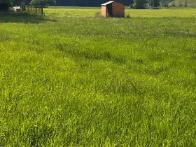 Prodej pozemku pro bydlení, Dobrá, 1288 m2