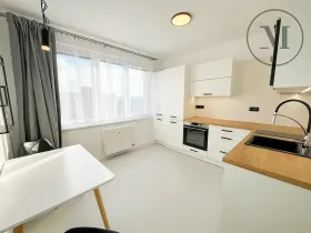 Pronájem bytu 1+1, České Budějovice, Puklicova, 41 m2