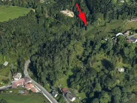 Prodej lesa, Železný Brod, 3547 m2