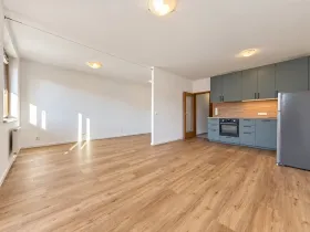 Pronájem bytu 1+kk, Praha - Podolí, Dvorecká, 43 m2