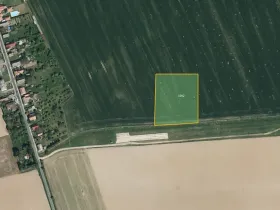 Prodej pole, Kněžice, 10659 m2