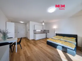 Prodej bytu 1+kk, Mladá Boleslav - Mladá Boleslav III, Vondřichova, 38 m2