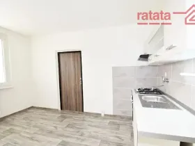Pronájem bytu 1+1, Jirkov, Vinařická, 35 m2