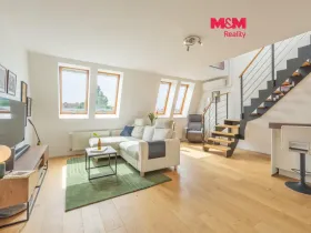 Prodej bytu 2+kk, Praha - Žižkov, Nad Ohradou, 63 m2