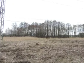 Prodej rybníku, Brniště, 486 m2