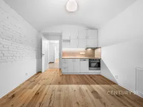 Pronájem bytu 2+kk, Praha - Nusle, Sezimova, 50 m2
