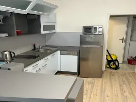 Pronájem bytu 1+1, Praha - Karlín, Thámova, 46 m2