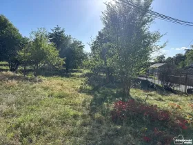 Prodej pozemku pro bydlení, Krhanice, 3530 m2