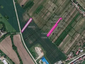 Prodej pole, Nový Poddvorov, 13951 m2