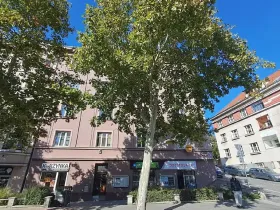 Prodej bytu 2+kk, Praha - Žižkov, Hartigova, 48 m2