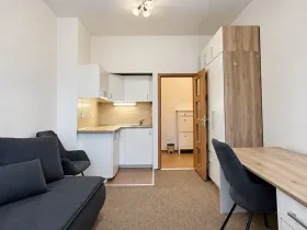 Pronájem bytu 1+kk, Brno, Tučkova, 21 m2