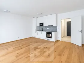 Prodej bytu 1+kk, Praha - Košíře, Starokošířská, 42 m2