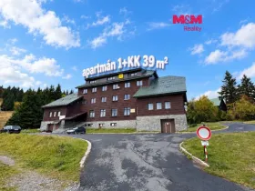 Prodej bytu 1+kk, Loučná nad Desnou - Kouty nad Desnou, 39 m2