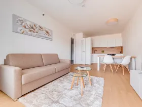 Pronájem bytu 2+kk, Praha - Vysočany, Hindlova, 56 m2