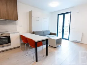 Pronájem bytu 1+kk, Praha - Žižkov, Hartigova, 32 m2
