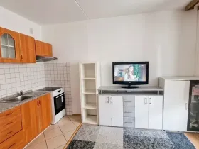 Prodej bytu 1+kk, Plzeň, Sokolovská, 32 m2